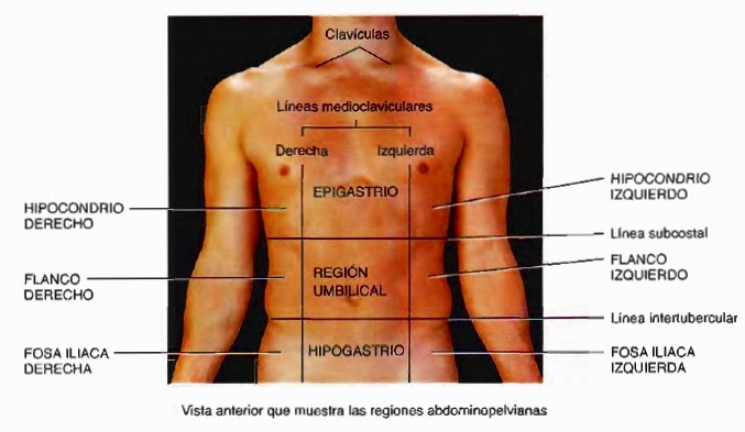 Aire en el lado derecho del abdomen